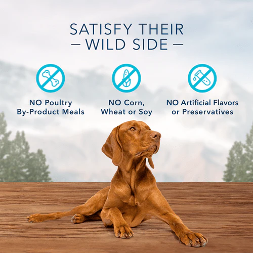 BLUE Wilderness Trail Treats Grain Free Biscuits; Salmon Recipe - Image 2
