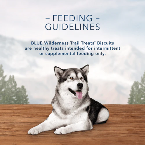 BLUE Wilderness Trail Treats Grain Free Biscuits; Salmon Recipe - Image 3