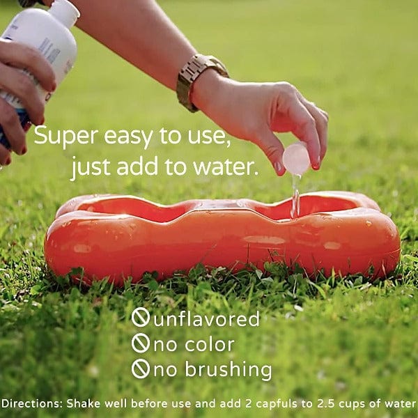 Bluestem Oral Care Original Flavor Water Additive for Cats & Dogs - Image 4