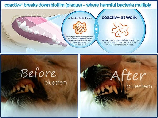 Bluestem Oral Care Original Flavor Water Additive for Cats & Dogs - Image 6