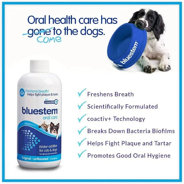 Bluestem Oral Care Original Flavor Water Additive for Cats & Dogs - Image 8