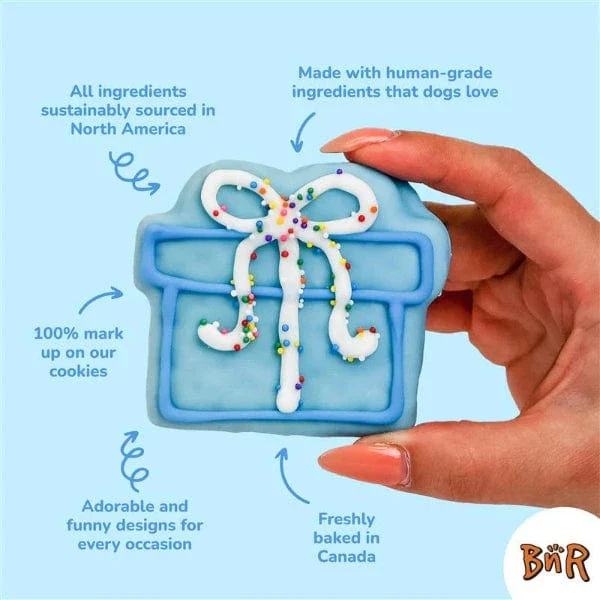 Bosco and Roxy's Birthday | Pop-a-Balloon Bones - Image 2