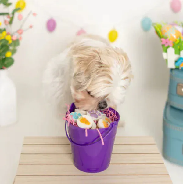 Bosco and Roxy's Easter | Bunny Bites Treat Cups - Image 3