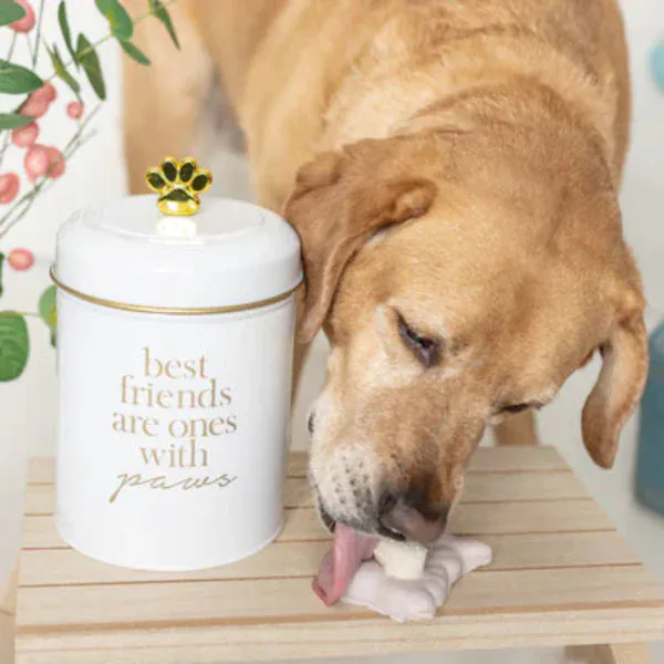 Bosco and Roxy's Easter | Bunny Business - Image 3