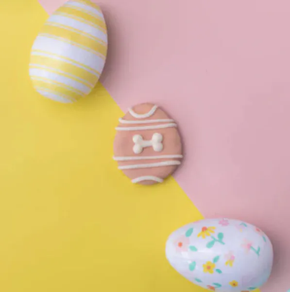 Bosco and Roxy's Easter | Yolks on You! - Image 4