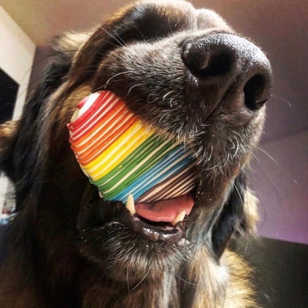 Bosco and Roxy's Pride & Family | Heart - Image 3