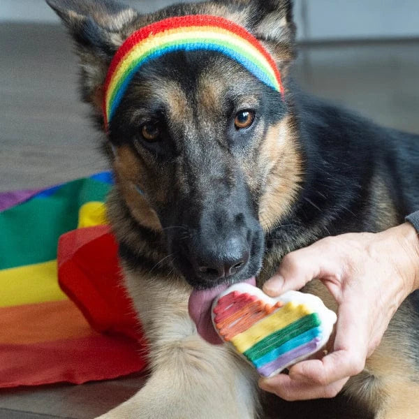 Bosco and Roxy's Pride & Family | Heart - Image 4