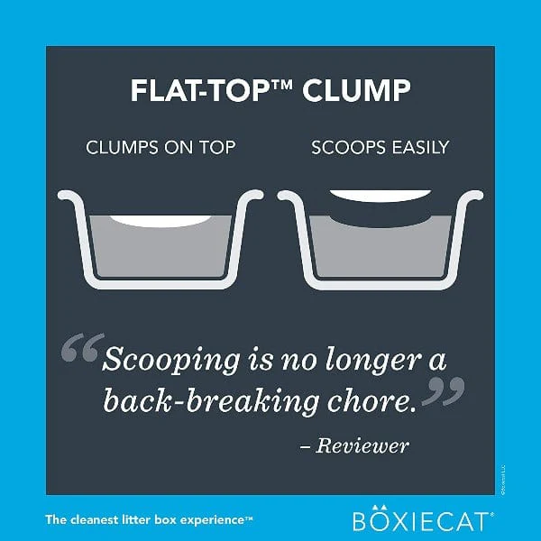 Boxiecat Scent-Free Premium Clumping Clay Cat Litter, 28lb - Image 2