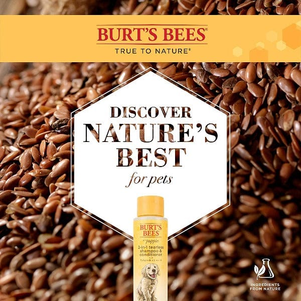 Burt's Bees Shampoo; 2 In 1 Tearless Shampoo & Conditioner - Image 3