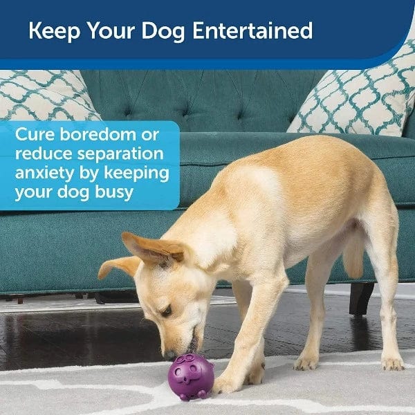 Busy Buddy Animals Treat Dispensing Dog Toy - Image 4