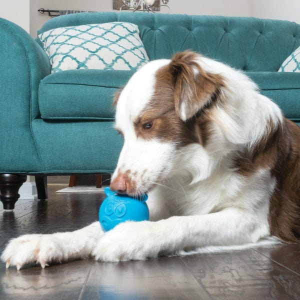 Busy Buddy Animals Treat Dispensing Dog Toy - Image 6