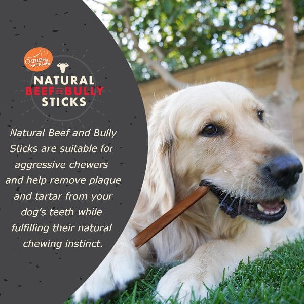 Canine Naturals | Alternative Natural Beef & Bully Sticks - Image 3