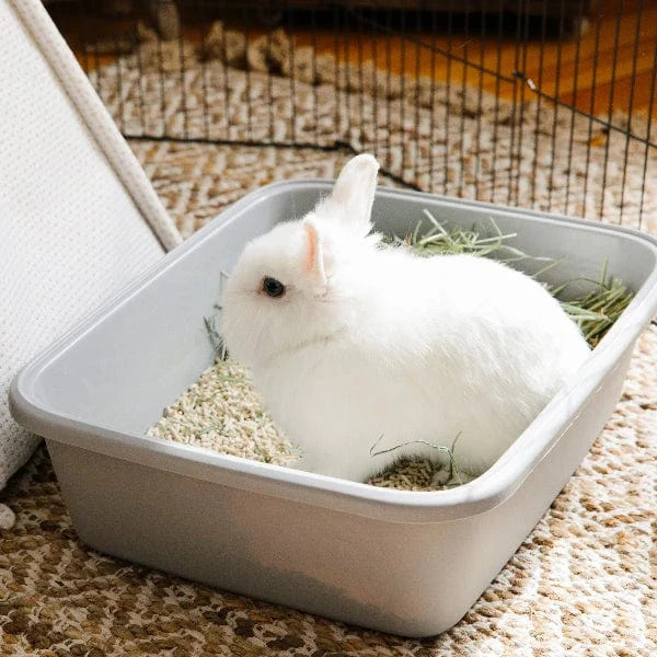 carefresh Rabbit & Ferret Litter - Image 4