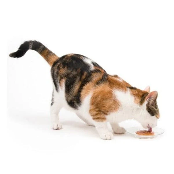 Catit Creamy Lickable Assorted Multipack Cat Treat - Image 6