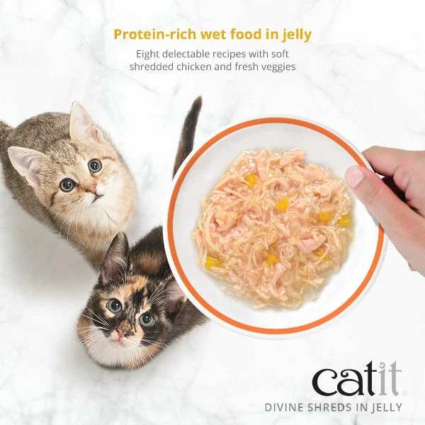 Catit Divine Shreds Chicken in Jelly Multipack - Image 4