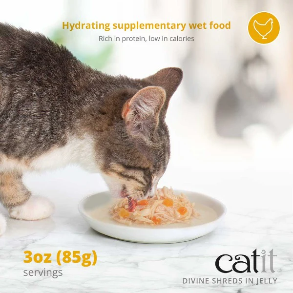 Catit Divine Shreds Chicken with Salmon & Pumpkin in Jelly Canned Cat Food Topper 4-Pack - Image 5