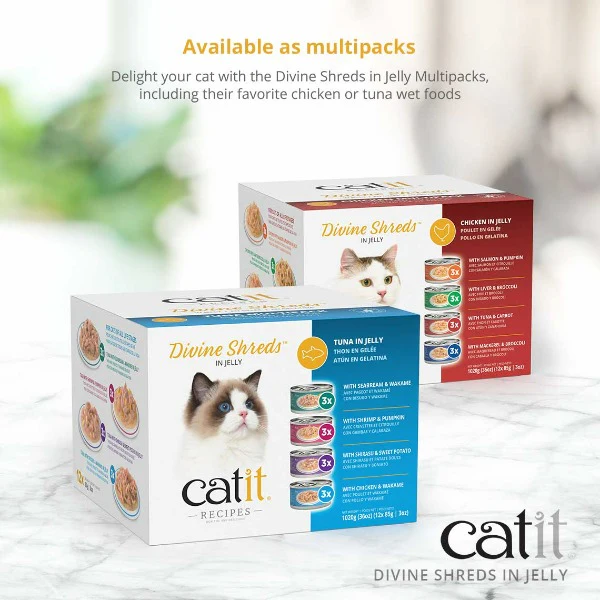 Catit Divine Shreds Chicken with Salmon & Pumpkin in Jelly Canned Cat Food Topper 4-Pack - Image 6