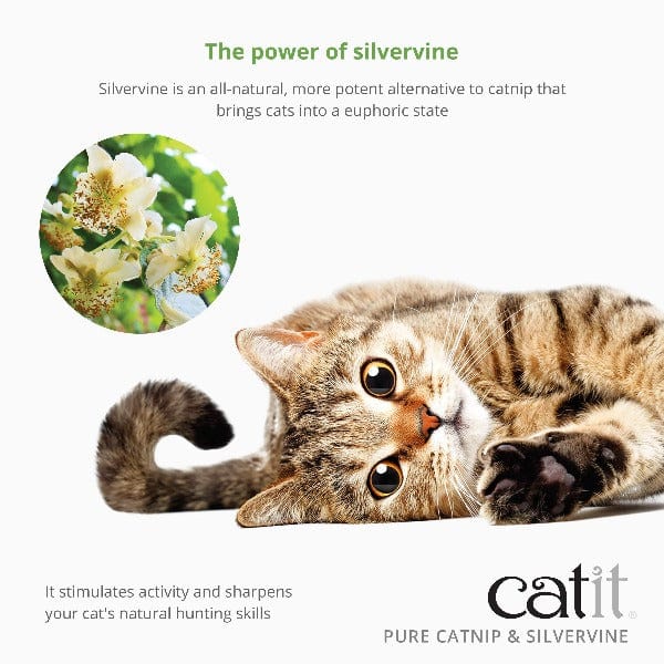 Catit Pure Catnip & Silvervine Mix - Image 2