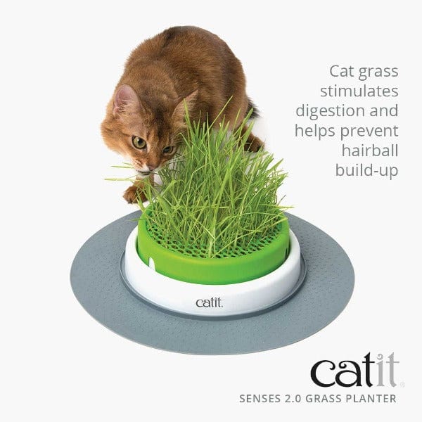 Catit Senses 2.0 Grass Planter - Image 3