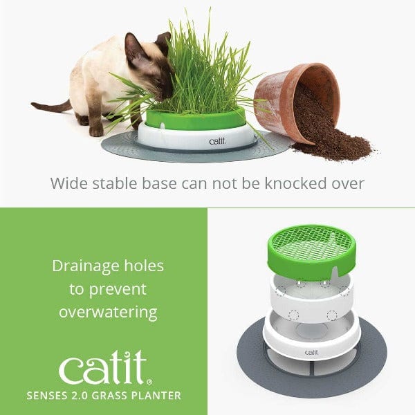 Catit Senses 2.0 Grass Planter - Image 4