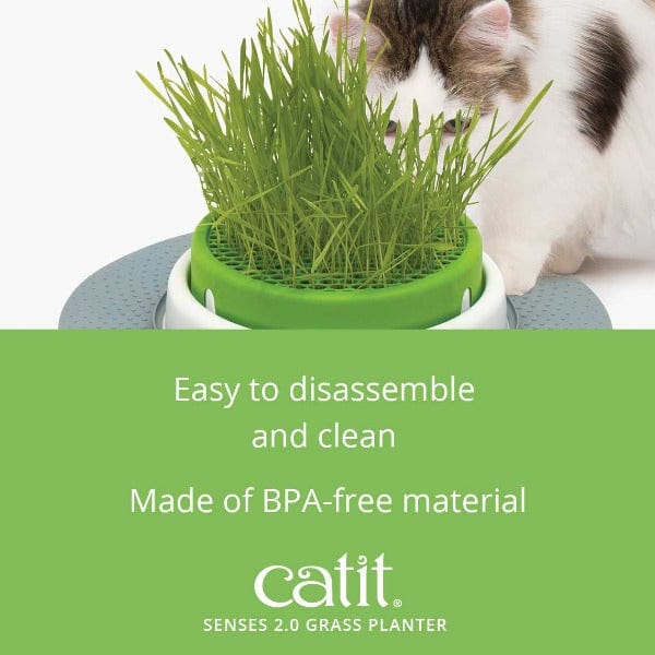 Catit Senses 2.0 Grass Planter - Image 7