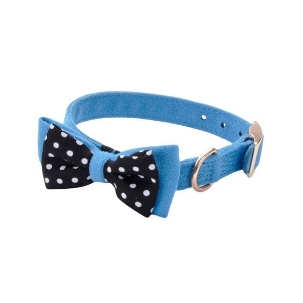 Coastal Accent Microfiber Dog Collar - Image 8