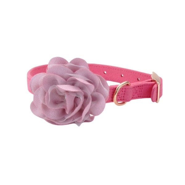 Coastal Accent Microfiber Dog Collar - Image 9
