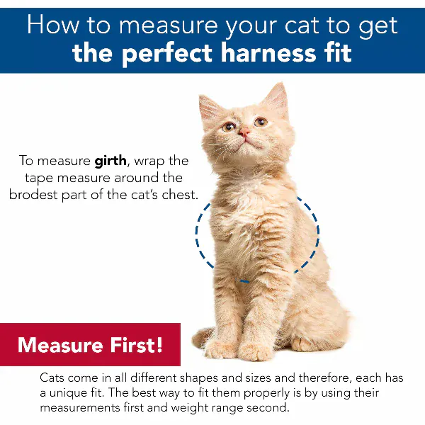 Coastal Comfort Soft Adjustable Cat Harness with 6' Leash - Image 4