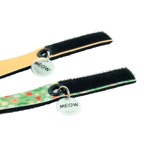 Coastal ElastaCat FlexFit Cat Collar - Image 3