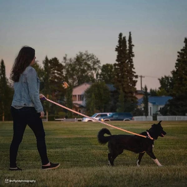 Lazer Brite Reflective Open Design Dog Leash - Image 2