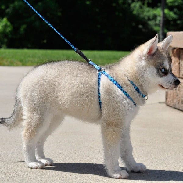 Li'l Pals Comfort Wrap Adjustable Dog Harness - Image 4