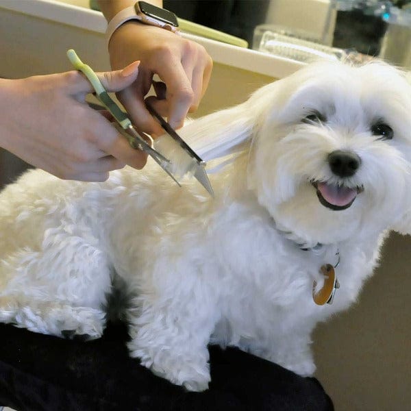Safari Dog Grooming Combs for Medium and Fine Coats - Image 3