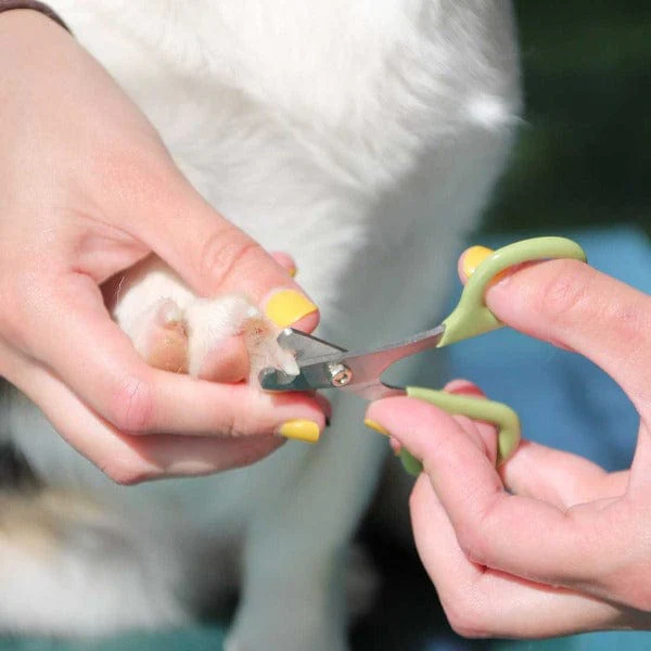 Safari Dog Nail Trimmer - Image 3