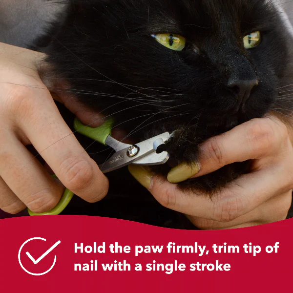 Safari Cat Nail Trimmer - Image 6