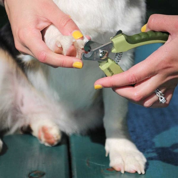Safari Professional Dog Nail Trimmer - Image 4