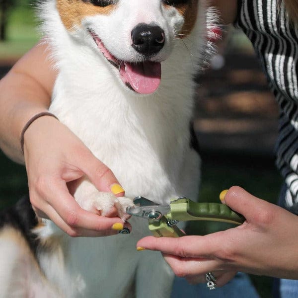 Safari Professional Dog Nail Trimmer - Image 6