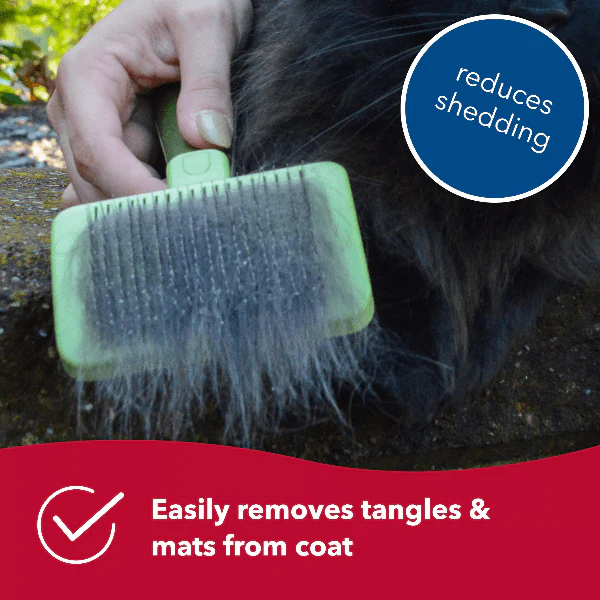 Safari Cat Self-Cleaning Slicker Brush - Image 5