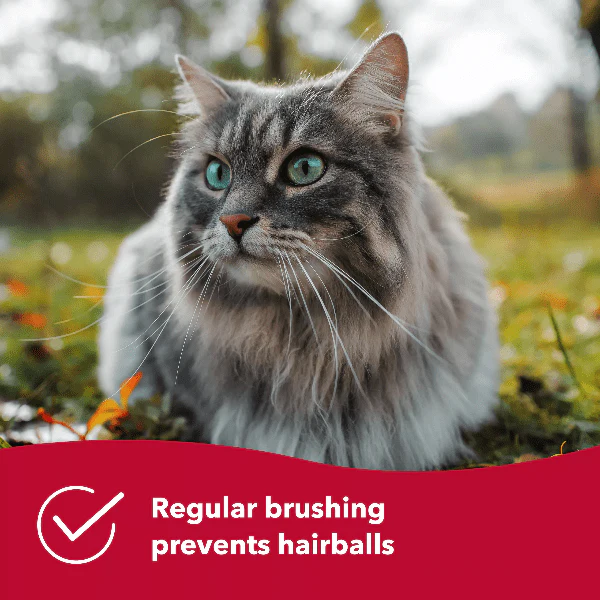 Safari Cat Self-Cleaning Slicker Brush - Image 9