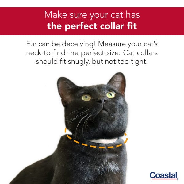 Coastal Safe Cat Adjustable Snag-Proof Breakaway Collar - Image 4