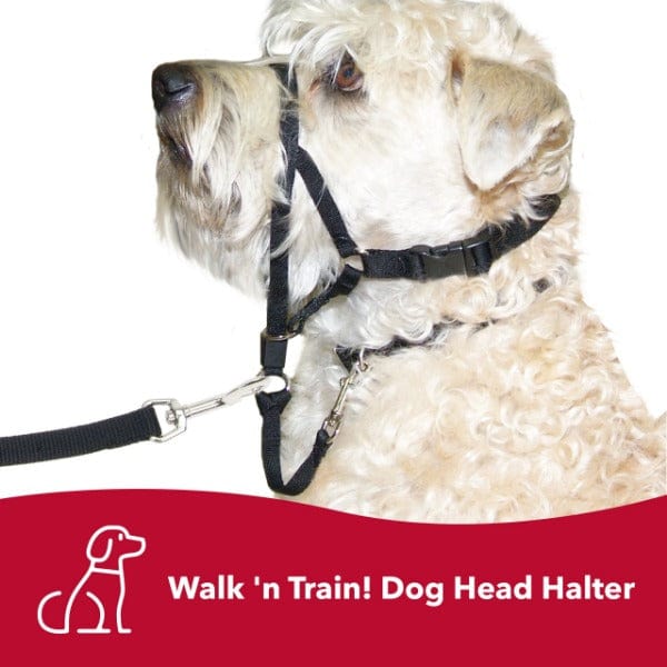 Walk 'n Train! Dog Head Halter - Image 3