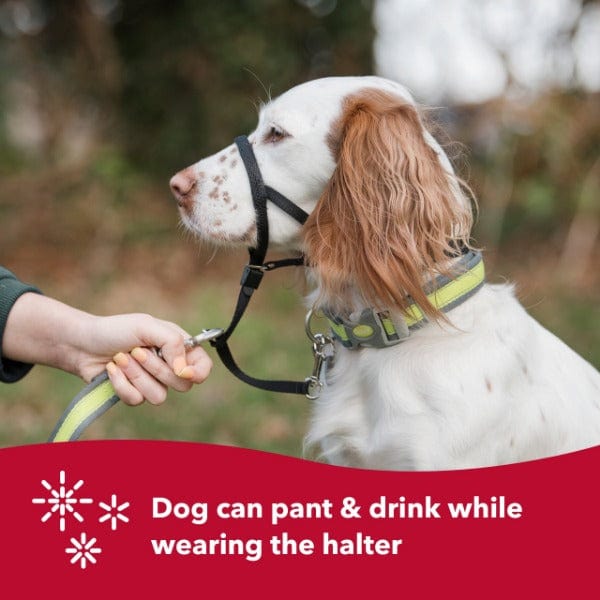 Walk 'n Train! Dog Head Halter - Image 5