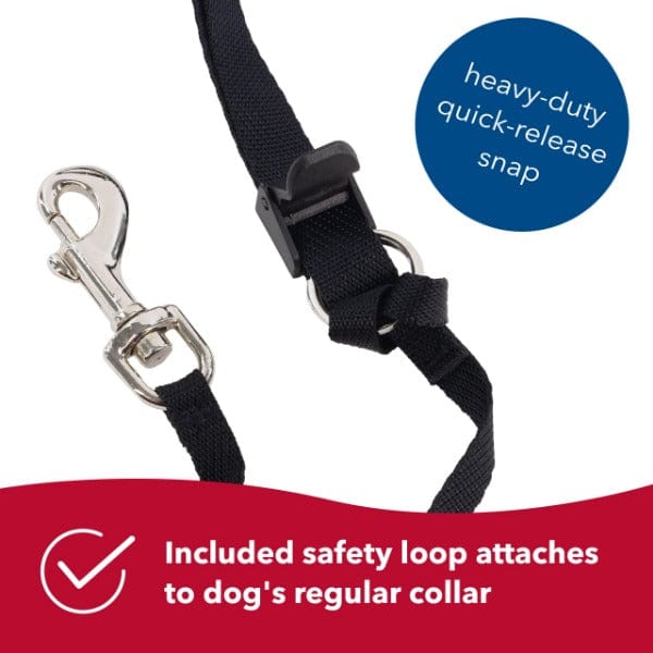 Walk 'n Train! Dog Head Halter - Image 6