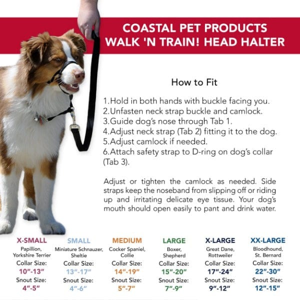 Walk 'n Train! Dog Head Halter - Image 7