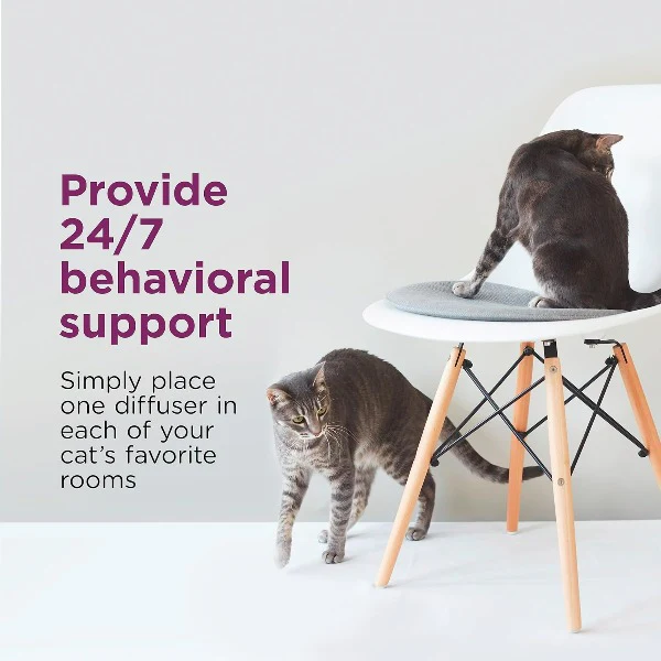 Comfort Zone Multi-Cat Diffuser Kit - Image 6