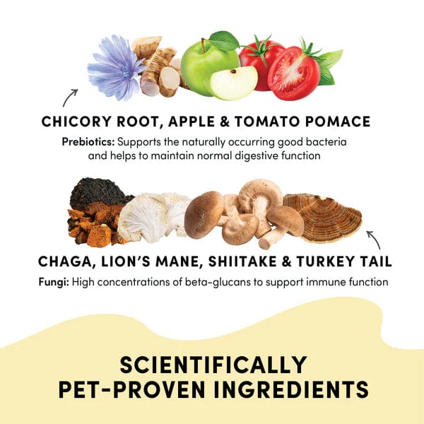 Crumps' naturals Gutsy Immune Bites (SPECIAL ORDER ITEM) - Image 3