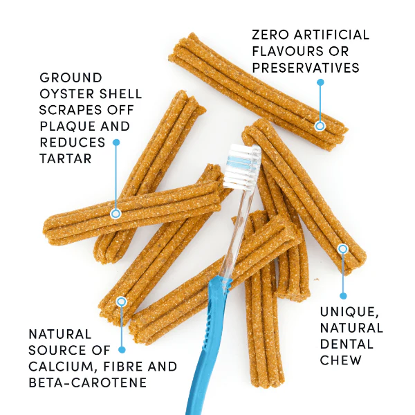 Crumps' naturals Plaque Busters Pumpkin Spice Dental Sticks - Image 5