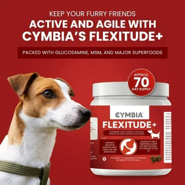 Cymbia FLEXITUDE+ Mobility & Hip Care Dog Supplement - Image 2