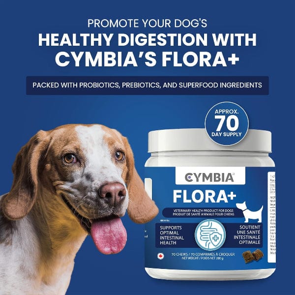 Cymbia FLORA+ Digestive Health Dog Supplement - Image 2