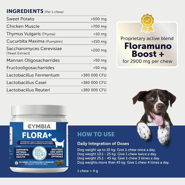 Cymbia FLORA+ Digestive Health Dog Supplement - Image 3