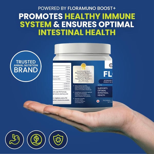 Cymbia FLORA+ Digestive Health Dog Supplement - Image 4